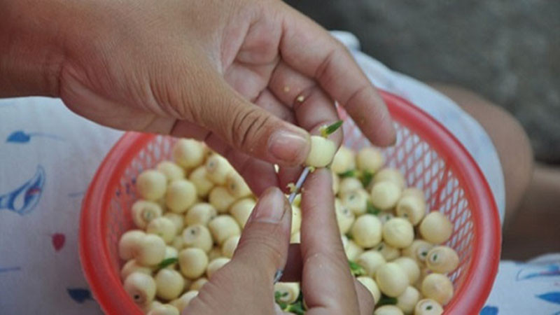 alt: Hạt sen tươi đã được tách tim