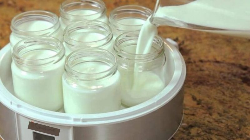 Ủ sữa chua trong nồi cơm điện