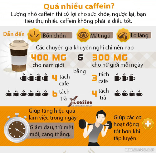 Cà phê mang lại lợi ích cho sức khỏe