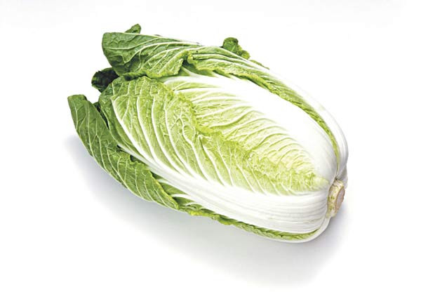 Cải Thảo Tươi Ngon