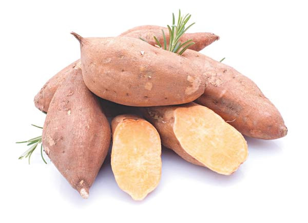 Khoai Lang