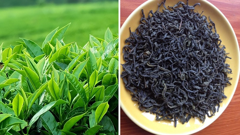 15 đặc sản Bắc Giang được khuyên mua làm quà