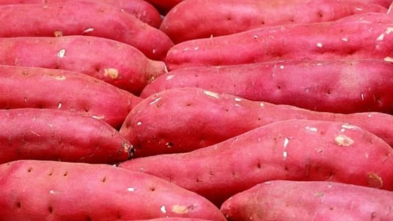 15 đặc sản Đắk Nông không thể bỏ qua – lựa chọn hoàn hảo làm quà