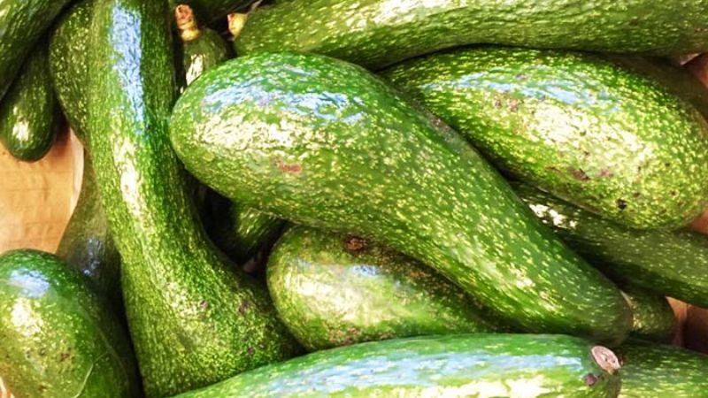 15 đặc sản Đắk Nông không thể bỏ qua – lựa chọn hoàn hảo làm quà