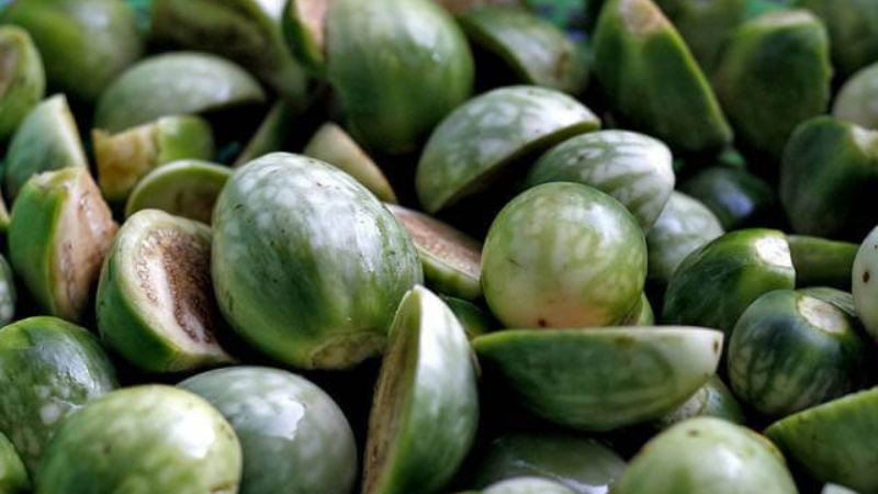 15 đặc sản Đắk Nông không thể bỏ qua – lựa chọn hoàn hảo làm quà