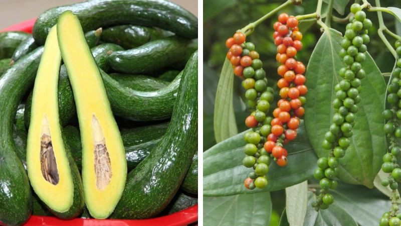 15 đặc sản Đắk Nông không thể bỏ qua – lựa chọn hoàn hảo làm quà