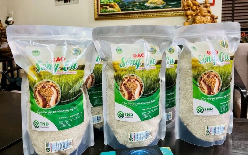 15 đặc sản Lào Cai nổi tiếng làm quà biếu