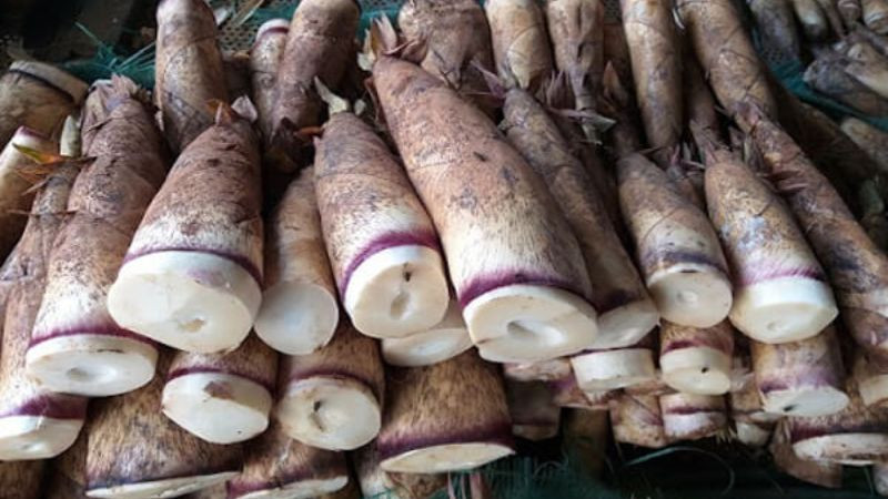 15 đặc sản Tam Đảo nổi tiếng hấp dẫn được ưa chuộng làm quà