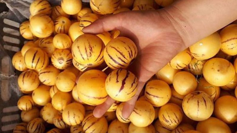 15 đặc sản Tam Đảo nổi tiếng hấp dẫn được ưa chuộng làm quà