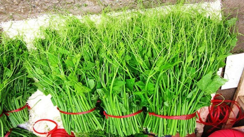 15 đặc sản Tam Đảo nổi tiếng hấp dẫn được ưa chuộng làm quà