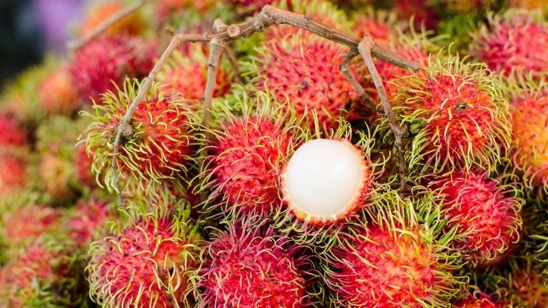 Chôm chôm: Lợi ích sức khỏe, công thức chế biến và các loại chôm chôm khác nhau
