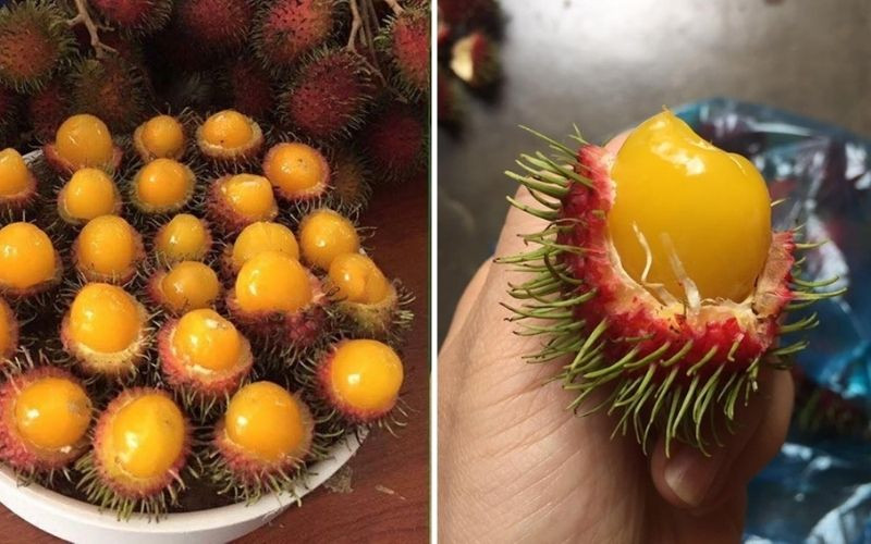 Lôi kéo khách hàng với chôm chôm ruột vàng ở Việt Nam, một trải nghiệm độc đáo làm náo loạn tâm trí