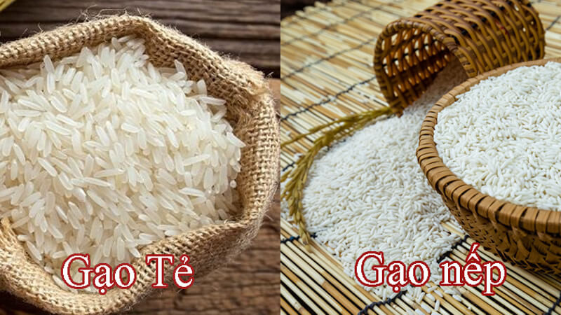 Phân biệt gạo nếp và gạo tẻ, chúng được dùng để nấu món gì?