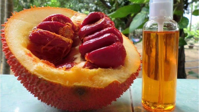 Trái gấc làm gì ăn? Tổng hợp các món ăn ngon từ trái gấc