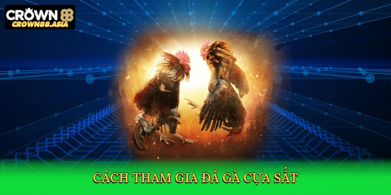 cach-tham-gia-da-ga-cua-sat-3