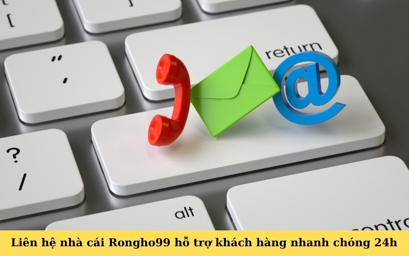 Liên hệ nhà cái Rongho99 hỗ trợ khách hàng nhanh chóng 24h